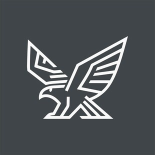 简约风格展翅飞鹰标志