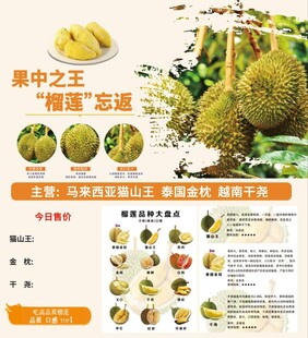 榴莲海报展板