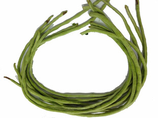 新鲜豆角 翠绿饱满