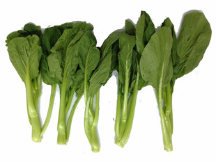 新鲜青菜