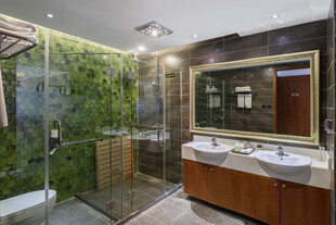 现代绿植浴室双台盆设计