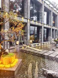 庭院