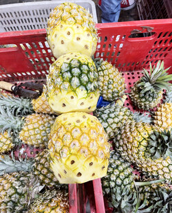 菠萝