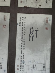 古代简牍文字展示