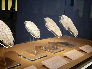 古代精美团扇展示