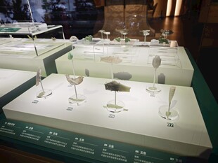 精致珠宝展示模型