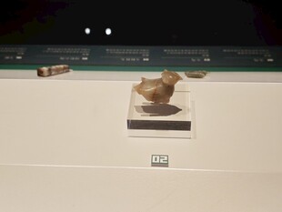 展示台上的精致雕塑品