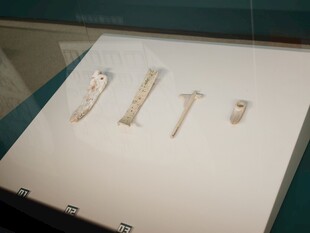 古代骨制文物展示