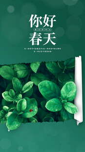 春天海报