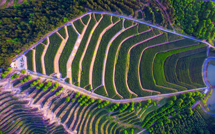 航拍美丽壮观的梯田景观 九一六