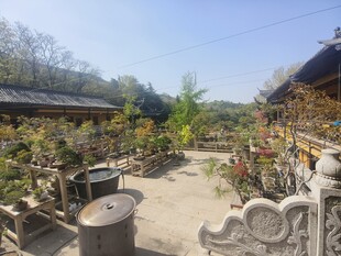 中式庭院景观古朴雅致