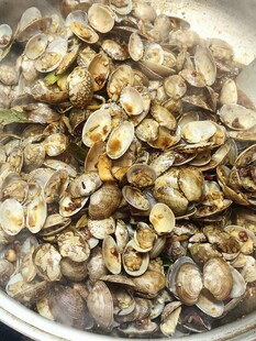 锅中蒸煮的新鲜蛤蜊
