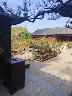 中式庭院景观古韵悠然