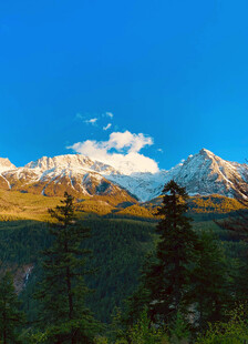 壮丽雪山与森林