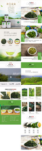 新鲜绿茶产品详情