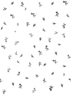 黑白简约植物图案背景