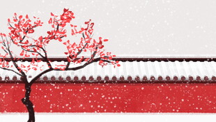 红墙旁的绽放梅花树