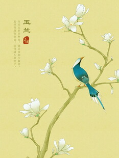 枝头翠鸟伴玉兰