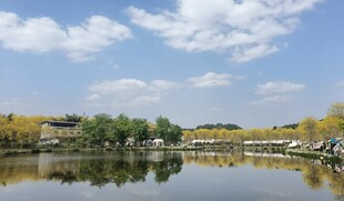 湖畔风光美景如画