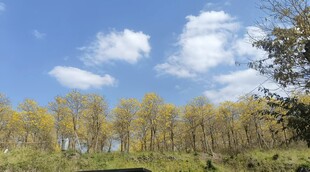 秋日山林蓝天美景