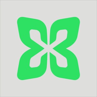 绿色四叶花形图标