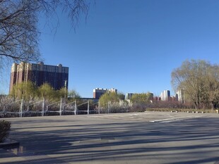 城市开阔空地与远处建筑