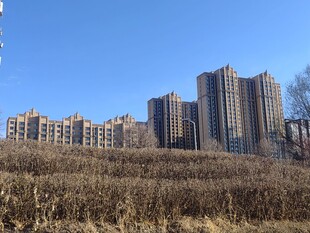 城郊高楼与荒地景观