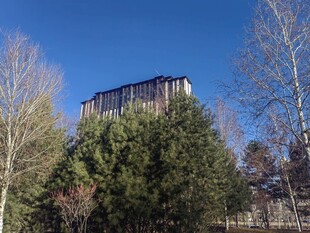 树林间的现代建筑