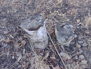 野外破损金属容器与工具