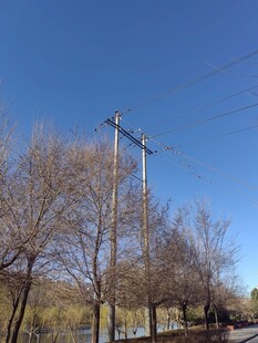 冬日路旁电线杆与光秃树木