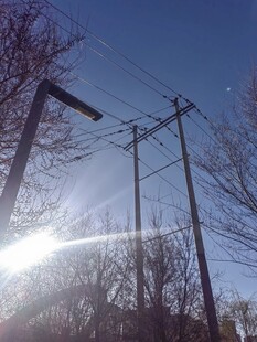 阳光下的电线杆与电线