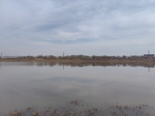 宁静水域与远处天际线