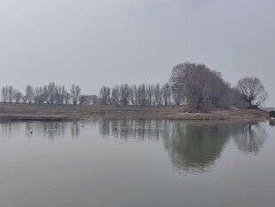 宁静湖面与岸边树木倒影