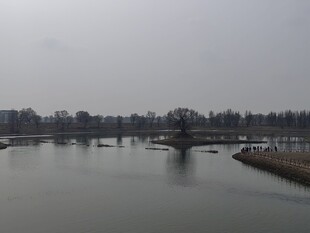 宁静河岸湖泊风光