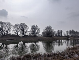 雾霭中的宁静河岸风光