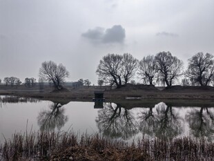 冬日湖畔静谧风景