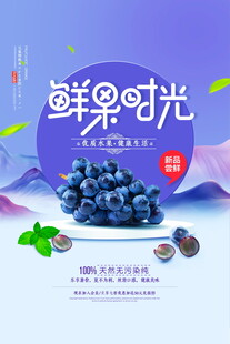 鲜果时光蓝莓美味呈现