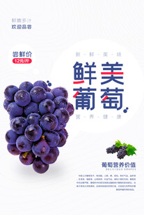 鲜美葡萄宣传图