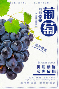 新鲜紫葡萄优选高品质