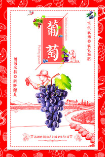 喜庆葡萄插画设计素材