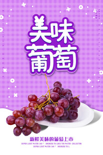 美味葡萄开启甜蜜味蕾之旅