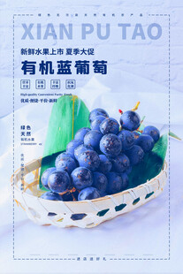 有机紫葡萄装于竹篮中