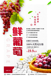 新鲜葡萄促销海报