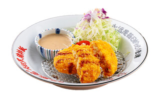 日式炸物拼盘 美味诱人