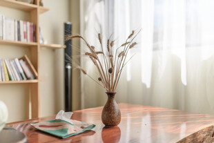 温馨室内一角的静谧景致