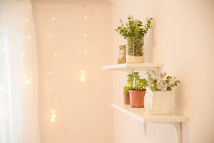 温馨角落的绿植小景