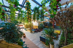 室内绿植环绕的休闲空间