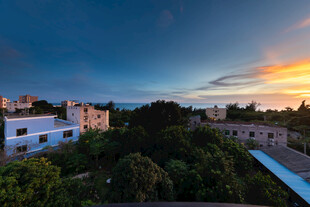 黄昏下的城市与葱郁绿植