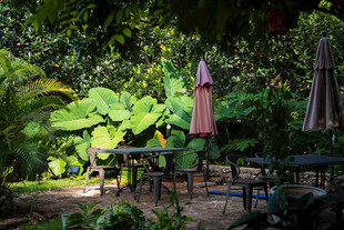 户外绿植环绕的休闲桌椅