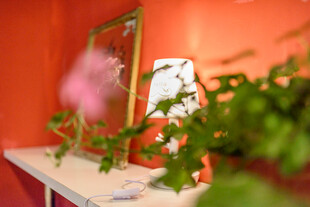 室内绿植与镜前温馨场景